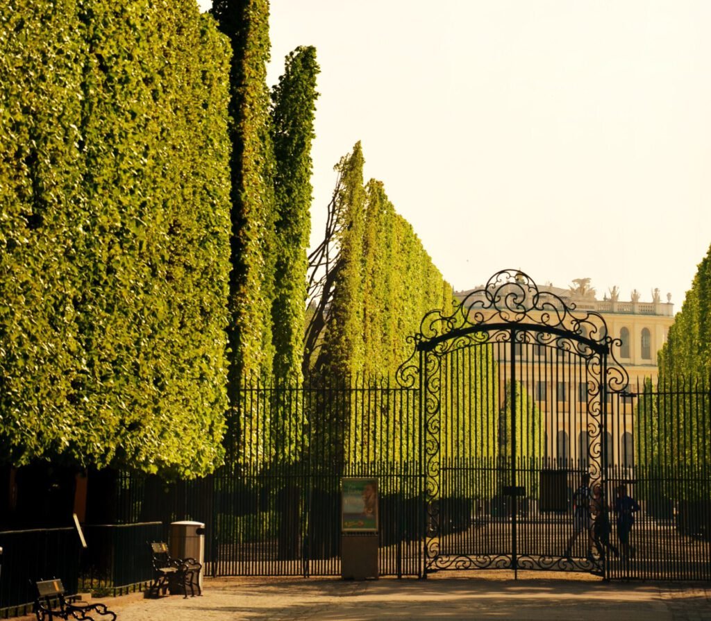 plantas urbanas