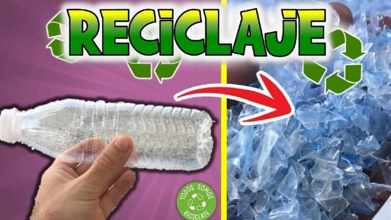 Consejos y beneficios para reutilizar alimentos en el reciclaje