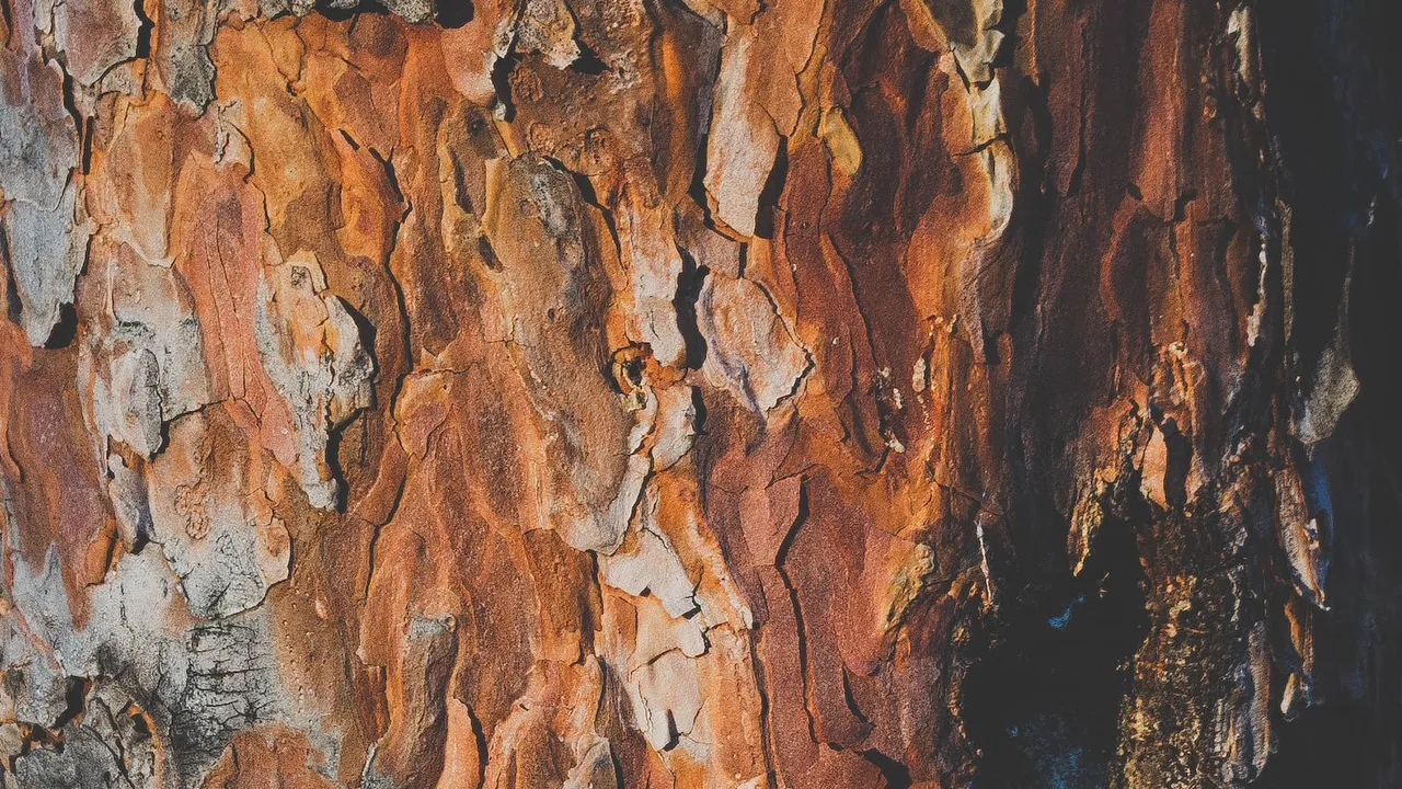 Un árbol medio cortado, con una pila de papel reciclado en un lado y un tronco sin uso en el otro 