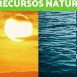 Ventajas y Desventajas del Reciclaje: Impacto Ambiental Explorado