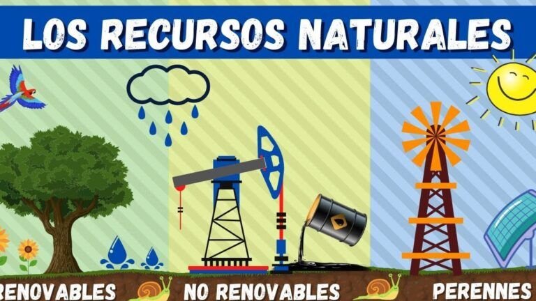 Alternativas eficientes para reducir consumo de recursos naturales