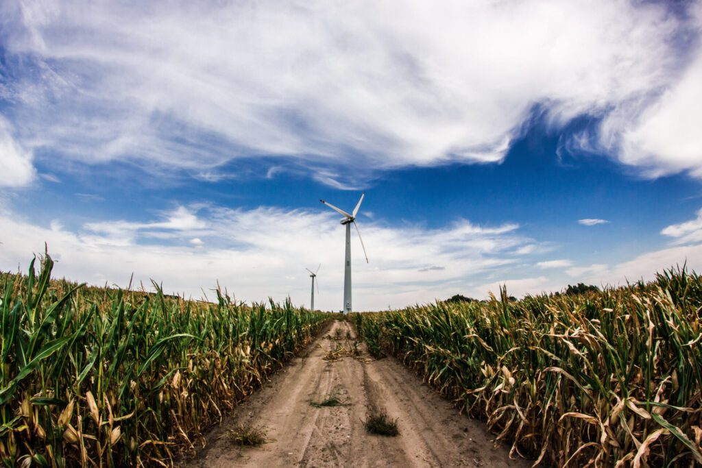 Molinos eólicos en un campo de maíz bajo un cielo azul que representan Energías renovables.