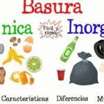 Técnicas de gestión para reciclaje de residuos orgánicos