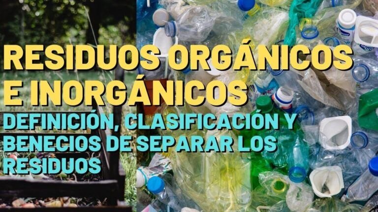 Reciclaje de residuos orgánicos: Guía completa y paso a paso