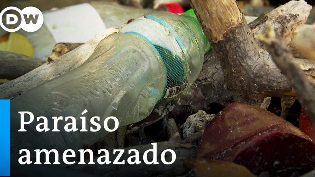 residuos plastico