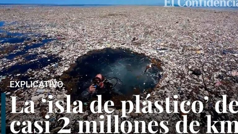 Reciclaje y reducción de residuos plásticos en hogares