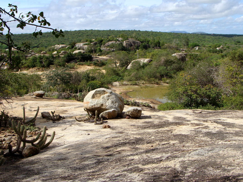 Formaciones rocosas y cactus en paisaje semiárido mostrando resiliencia climatica