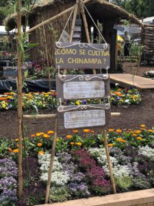 Cartel explicativo sobre chinampa en un huerto con camas florales y rotacion de cultivos 2.