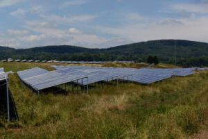 Filas de paneles solares en terreno rural solar 5