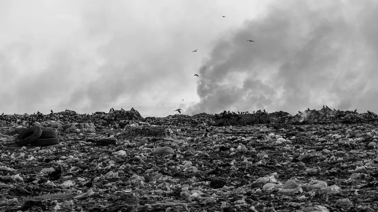 Una imagen que muestra distintos tipos de residuos reciclables organizados en contenedores de colores 